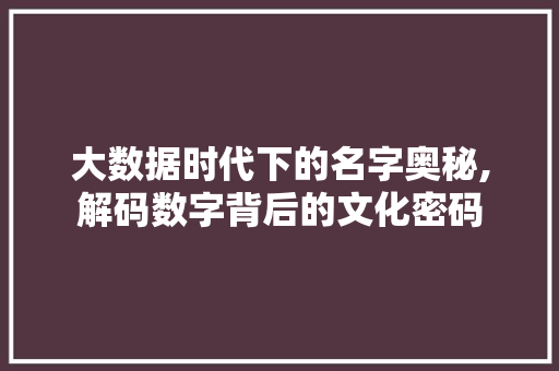 大数据时代下的名字奥秘,解码数字背后的文化密码
