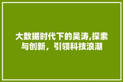 大数据时代下的吴涛,探索与创新，引领科技浪潮