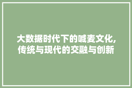 大数据时代下的喊麦文化,传统与现代的交融与创新