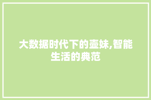 大数据时代下的壶妹,智能生活的典范