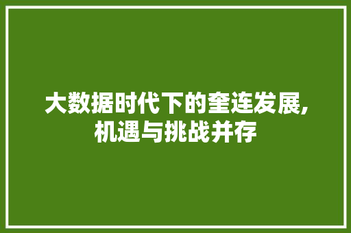 大数据时代下的奎连发展,机遇与挑战并存