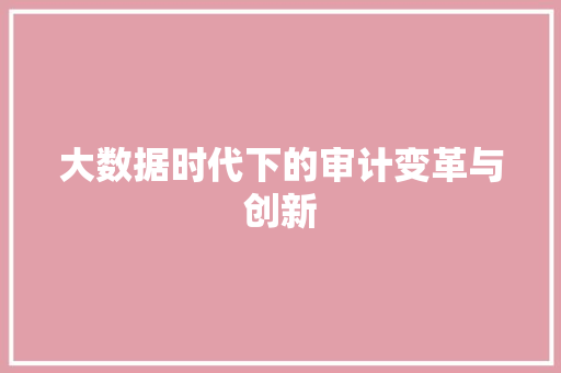 大数据时代下的审计变革与创新
