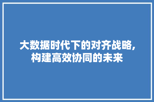 大数据时代下的对齐战略,构建高效协同的未来