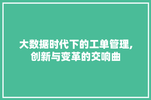 大数据时代下的工单管理,创新与变革的交响曲