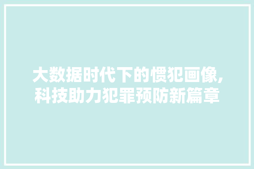 大数据时代下的惯犯画像,科技助力犯罪预防新篇章