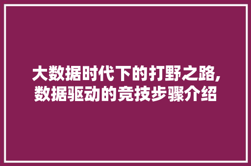 大数据时代下的打野之路,数据驱动的竞技步骤介绍