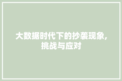 大数据时代下的抄袭现象,挑战与应对