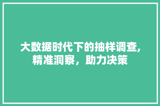 大数据时代下的抽样调查,精准洞察，助力决策