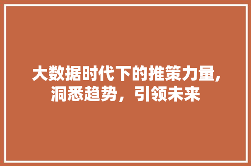 大数据时代下的推策力量,洞悉趋势，引领未来