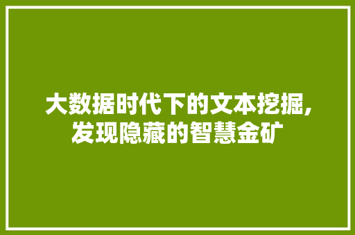 大数据时代下的文本挖掘,发现隐藏的智慧金矿