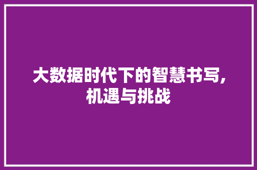 大数据时代下的智慧书写,机遇与挑战