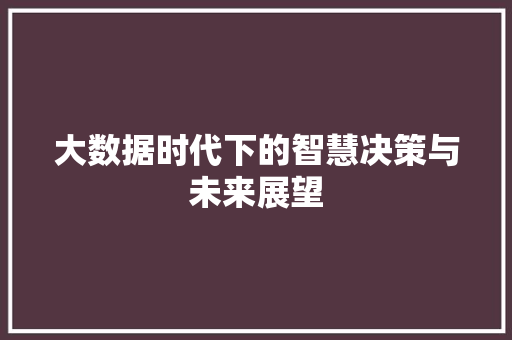 大数据时代下的智慧决策与未来展望