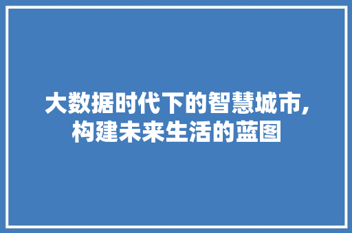 大数据时代下的智慧城市,构建未来生活的蓝图