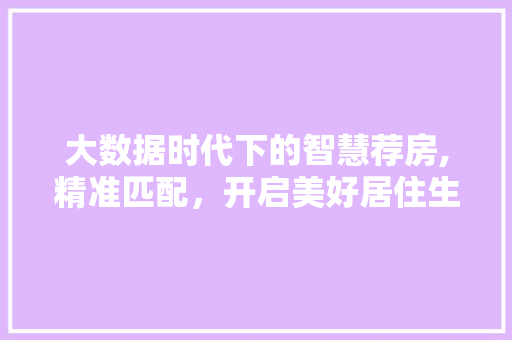 大数据时代下的智慧荐房,精准匹配，开启美好居住生活