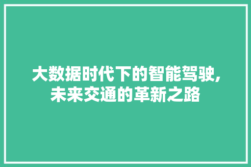 大数据时代下的智能驾驶,未来交通的革新之路