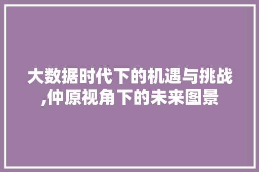 大数据时代下的机遇与挑战,仲原视角下的未来图景