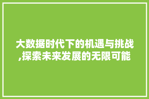 大数据时代下的机遇与挑战,探索未来发展的无限可能