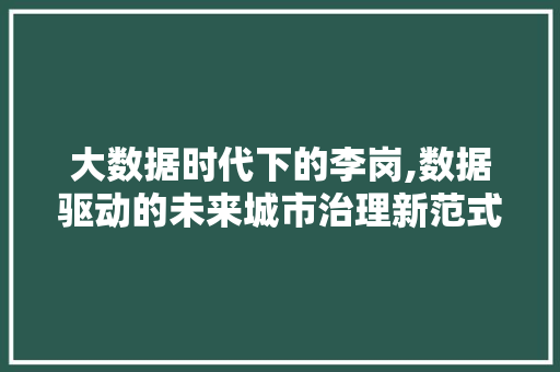 大数据时代下的李岗,数据驱动的未来城市治理新范式