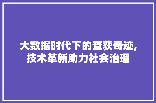 大数据时代下的查获奇迹,技术革新助力社会治理