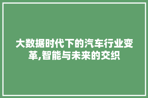 大数据时代下的汽车行业变革,智能与未来的交织