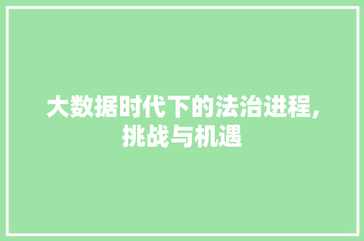 大数据时代下的法治进程,挑战与机遇
