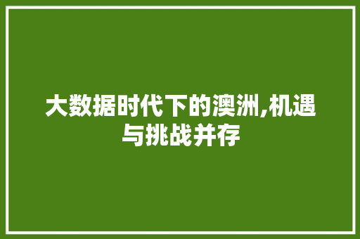 大数据时代下的澳洲,机遇与挑战并存