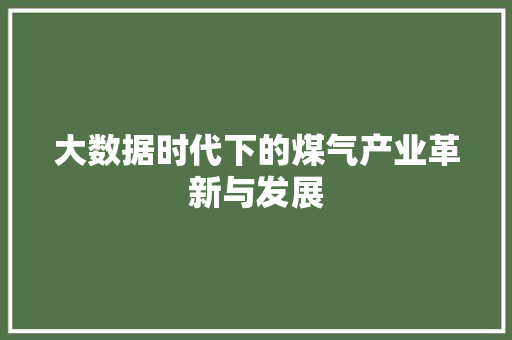 大数据时代下的煤气产业革新与发展