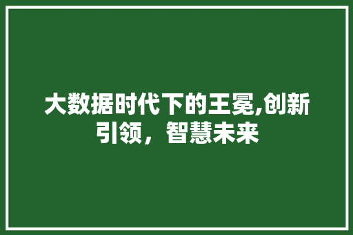 大数据时代下的王冕,创新引领，智慧未来