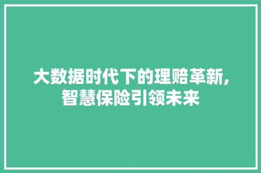 大数据时代下的理赔革新,智慧保险引领未来