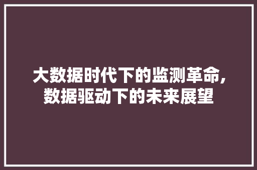 大数据时代下的监测革命,数据驱动下的未来展望