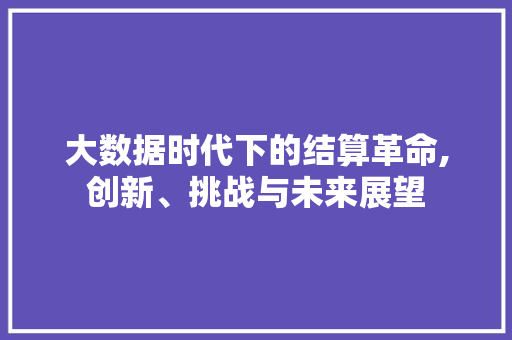 大数据时代下的结算革命,创新、挑战与未来展望