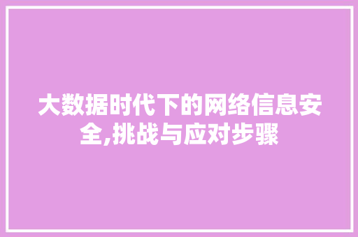 大数据时代下的网络信息安全,挑战与应对步骤
