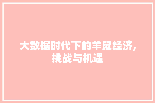 大数据时代下的羊鼠经济,挑战与机遇