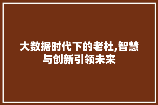 大数据时代下的老杜,智慧与创新引领未来
