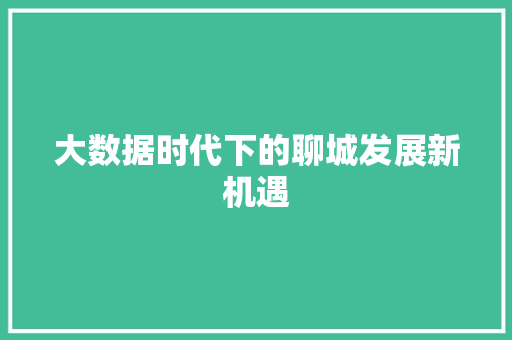 大数据时代下的聊城发展新机遇