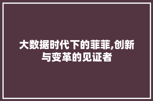 大数据时代下的菲菲,创新与变革的见证者