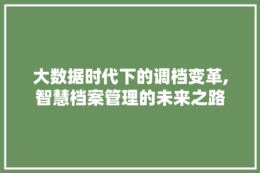 大数据时代下的调档变革,智慧档案管理的未来之路