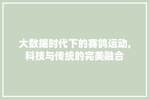 大数据时代下的赛鸽运动,科技与传统的完美融合