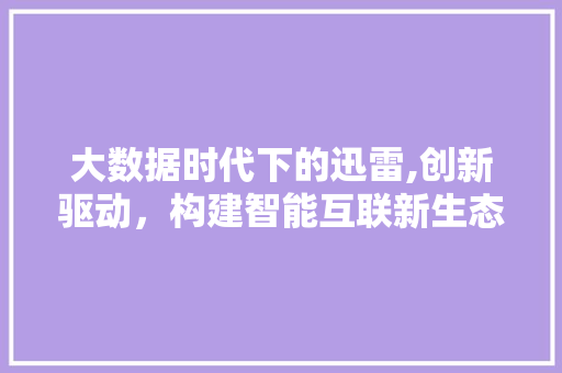 大数据时代下的迅雷,创新驱动，构建智能互联新生态