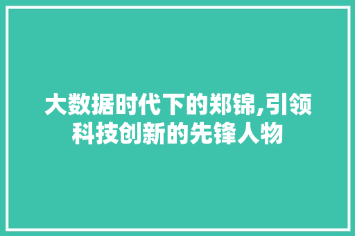 大数据时代下的郑锦,引领科技创新的先锋人物