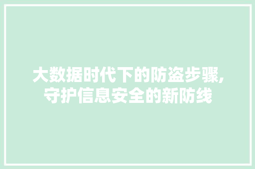大数据时代下的防盗步骤,守护信息安全的新防线