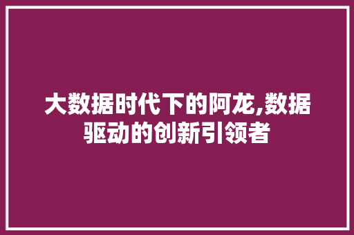 大数据时代下的阿龙,数据驱动的创新引领者
