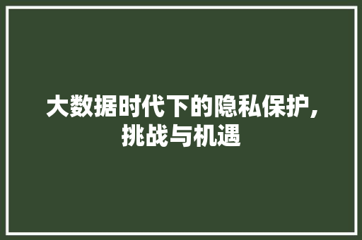 大数据时代下的隐私保护,挑战与机遇