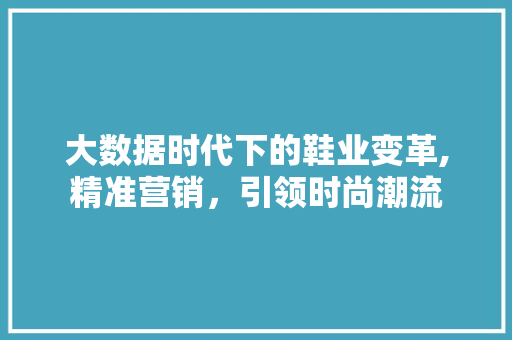 大数据时代下的鞋业变革,精准营销，引领时尚潮流