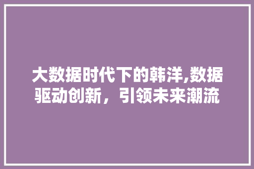 大数据时代下的韩洋,数据驱动创新，引领未来潮流