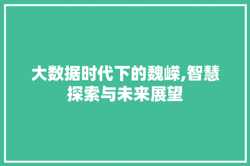 大数据时代下的魏嵘,智慧探索与未来展望
