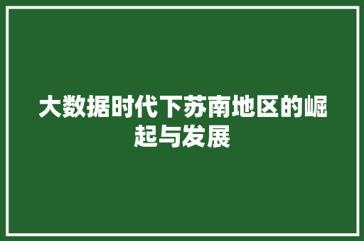 大数据时代下苏南地区的崛起与发展