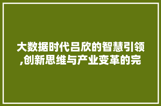 大数据时代吕欣的智慧引领,创新思维与产业变革的完美融合