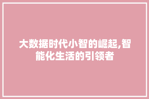 大数据时代小智的崛起,智能化生活的引领者