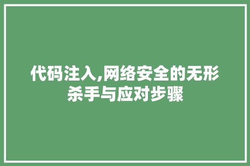 代码注入,网络安全的无形杀手与应对步骤